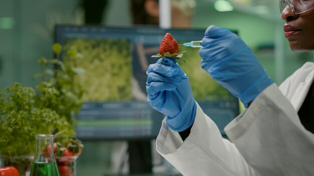 zbliżenie chemik naukowiec wstrzykujący naturalną truskawkę chemicznymi pestycydami