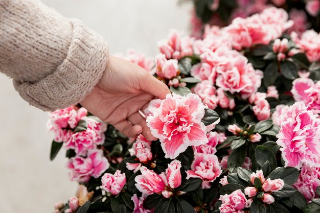 Bezpłatne zdjęcie zbliżenie dłoni dotykając kwitnących kwiatów