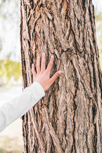Zbliżenie dłoni dziewczyny dotykając kory drzewa