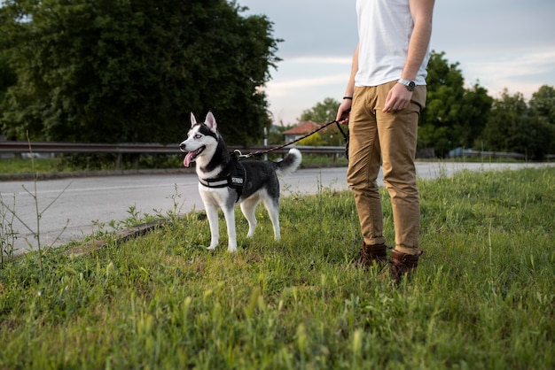 Zbliżenie dłoni trzymającej smycz husky