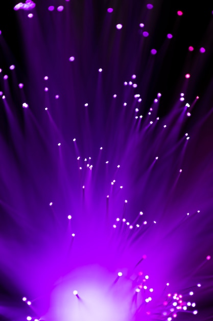 Zbliżenie fioletowe światła światłowodów