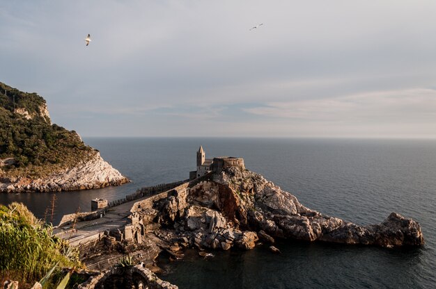 Zbliżenie klifu w regionalnym parku przyrody Porto Venere Terrizzo we Włoszech