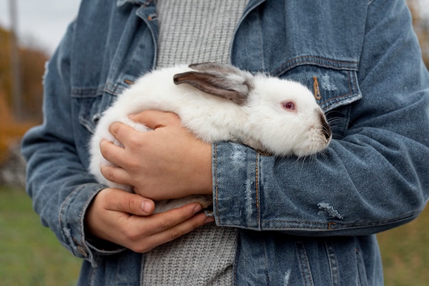 Zbliżenie królik w ramionach właściciela