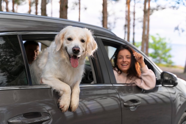 Bezpłatne zdjęcie zbliżenie ludzi z psem w samochodzie