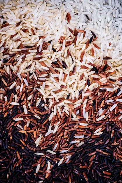 Zbliżenie mieszanych ryżu