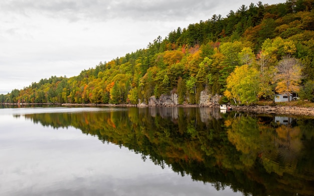 Zbliżenie Na Jezioro Muskoka W Ontario, Kanada