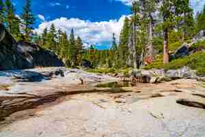 Bezpłatne zdjęcie zbliżenie na wyschnięty wodospad yosemite w parku narodowym yosemite