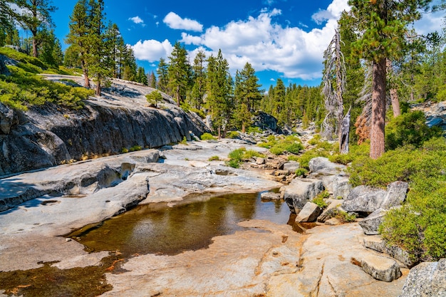 Zbliżenie na wyschnięty wodospad Yosemite w Parku Narodowym Yosemite