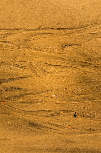 Zbliżenie piasku z dróg pływowych i muszli na plaży pełnej klatki tekstury tła