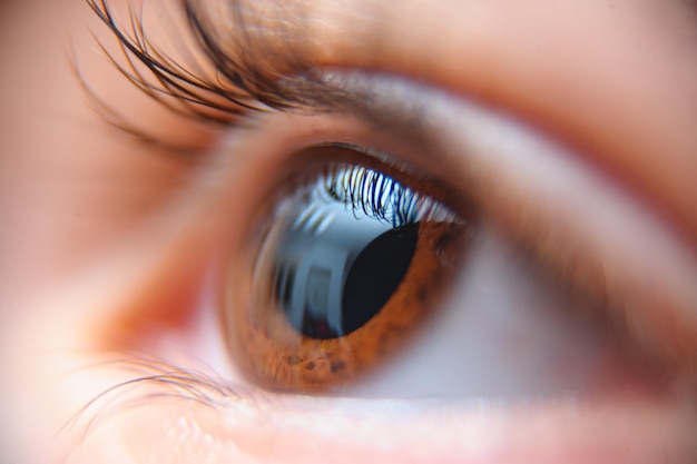 Bezpłatne zdjęcie zbliżenie pięknego brązowego oka osoby
