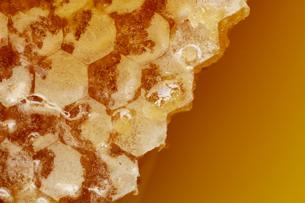 Zbliżenie plastra miodu z woskiem pszczelim