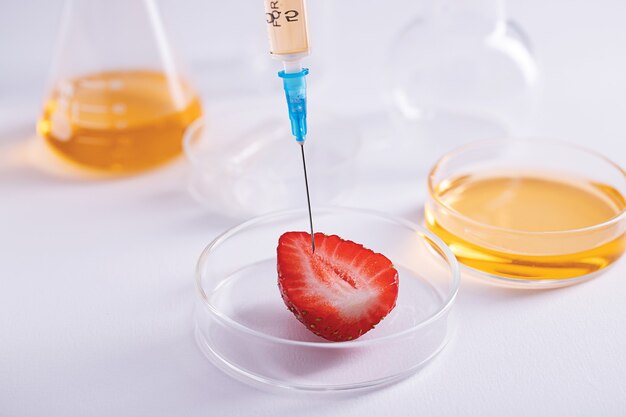 Zbliżenie strzał strzykawki szturchającej pokrojoną truskawkę do eksperymentu ekstrakcji DNA w laboratorium