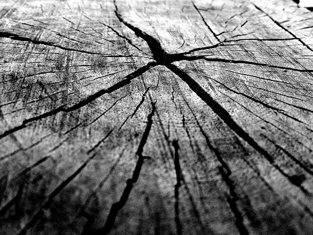 Zbliżenie w skali szarości drewnianej tekstury