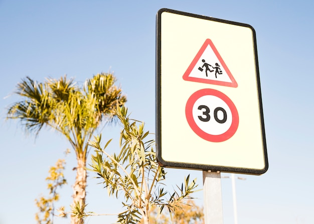 Zbliżenie znak ostrzegawczy pieszych z 30 znak ograniczenia prędkości na zielonym drzewie i błękitne niebo