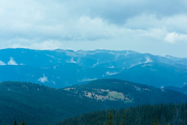 Bezpłatne zdjęcie zbocza gór pokryte są obfitym lasem deszczowym