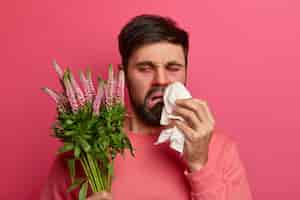 Bezpłatne zdjęcie zdenerwowany, niezadowolony brodacz patrzy na wywołującą reakcję alergiczną roślinę, ociera i wydmuchuje nos chusteczką, pozuje na różowej ścianie. sezonowa alergia, objawy i koncepcja choroby