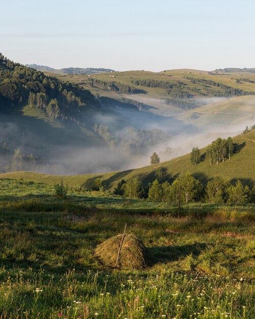 Zdjęcia lotnicze niesamowitego krajobrazu górskiego w Transylwanii w Rumunii