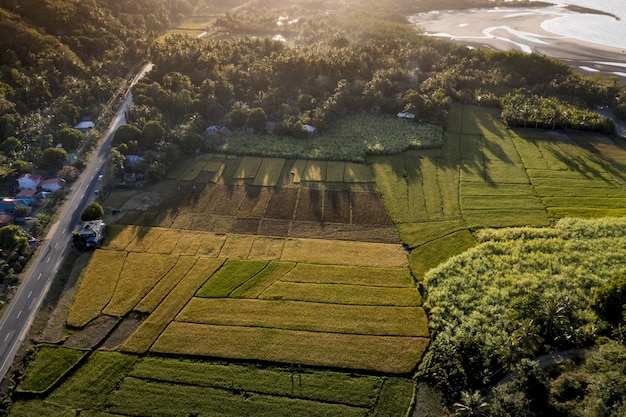 Zdjęcia lotnicze trawiastego pola w pobliżu drogi i morza z drzewami w ciągu dnia