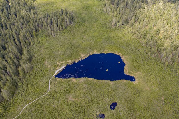 Zdjęcia lotnicze z pięknego jeziora Ribnica otoczonego polem pełnym trawy w Słowenii