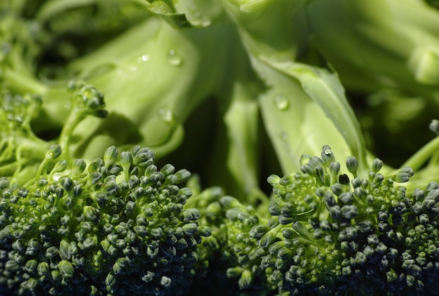 Bezpłatne zdjęcie zdrowe brokuły