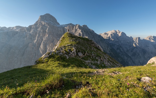 Zielona kwiecista góra pod niebieskim niebem przy dniem