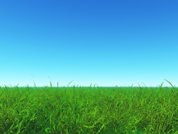Zielona trawa i niebieskie niebo