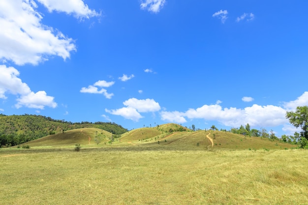 Zielona trawa na łysym wzgórzu górskim malowniczym parku w Ranong Tajlandia