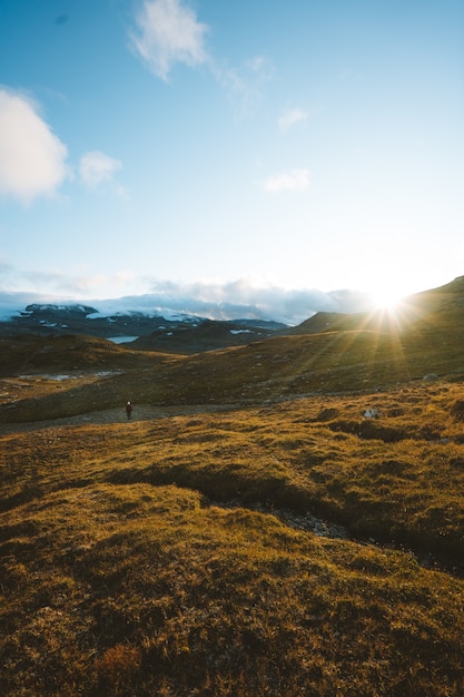 Zielona ziemia otoczona wysokimi skalistymi górami w Finse w Norwegii