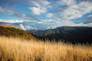 Bezpłatne zdjęcie zielone i brązowe pole trawa w pobliżu góry pod białymi chmurami i błękitne niebo w ciągu dnia