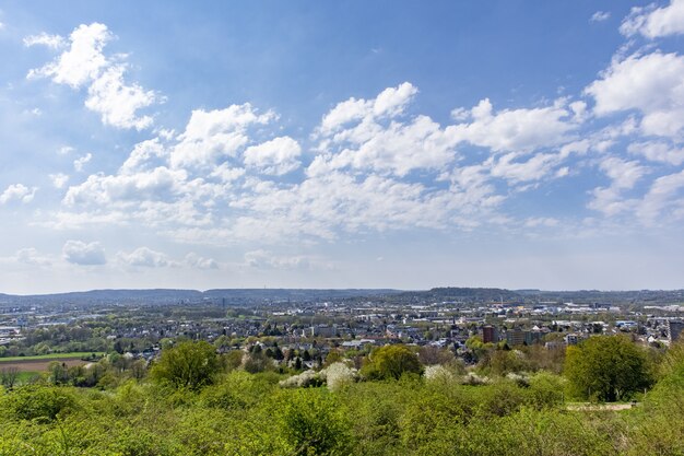 Zielony park z drzewami w słoneczny dzień