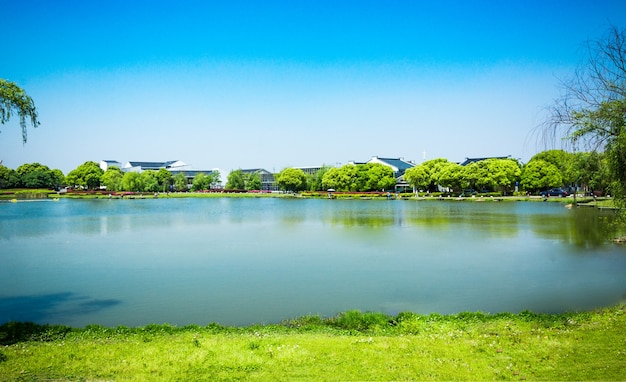 Bezpłatne zdjęcie zielony park