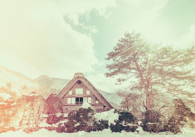 Zimą Shirakawago z padającego śniegu, Japonii (filtrowane imag