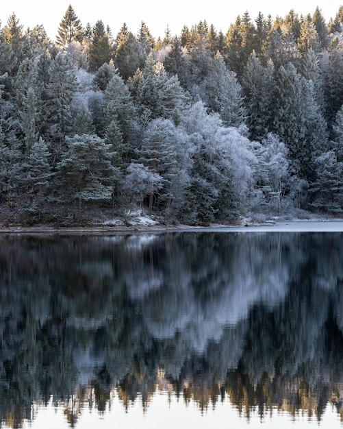 Bezpłatne zdjęcie zimowy krajobraz, spokojna woda i odbicia od drzew i nieba.