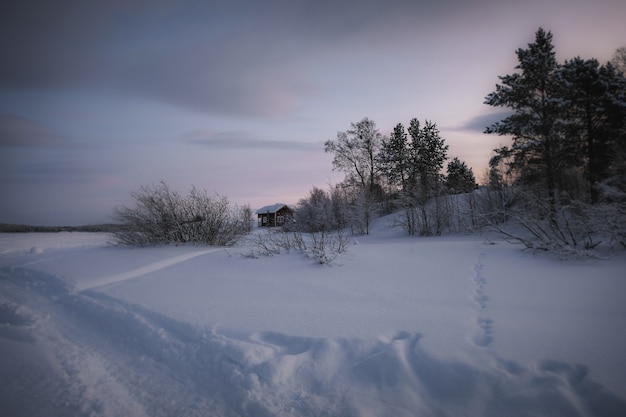 Zimowy krajobraz z domem i odśnieżonym chodnikiem