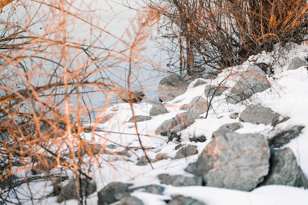 Bezpłatne zdjęcie zimowy krajobraz z lasem i rzeką
