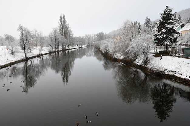 Zimowy krajobraz z rzeką. Spacerując z psem. Pięknej zimy sezonowy tło w naturze.
