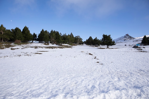 Zimowy krajobraz ze śniegiem i lasem