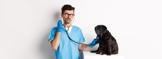 Bezpłatne zdjęcie zmieszany lekarz weterynarii sprawdza psa ze stetoskopem patrząc zdziwiony stojąc nad białym