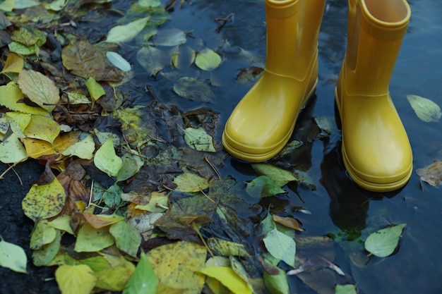 Żółte gumowe buty na zewnątrz w deszczową pogodę