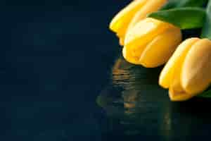 Bezpłatne zdjęcie Żółte tulipany na czarnym tle