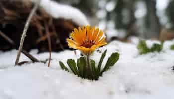 Bezpłatne zdjęcie Żółty kwiat kwitnie w śnieżnym zimowym lesie generowanym przez ai