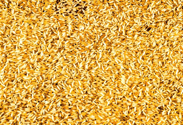 żółty ryż rozłożony na powierzchni, tekstura tło
