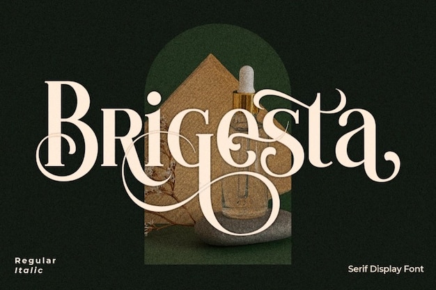 Download Brigesta Font: Free Serif Calligraphy Font | Downloader Baba