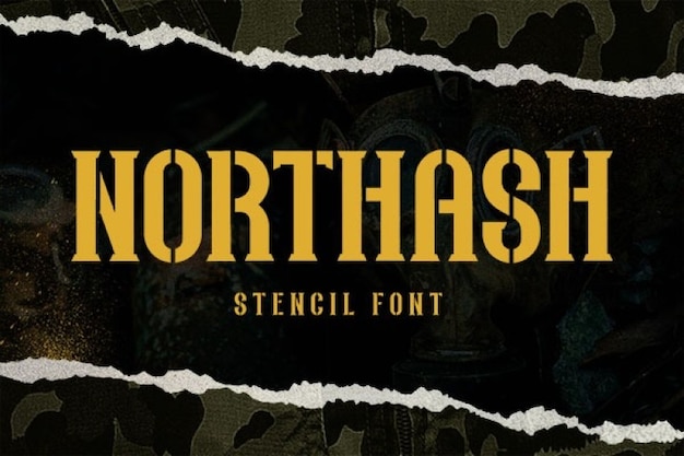 Download Free Premium Fonts Template: Northash Font