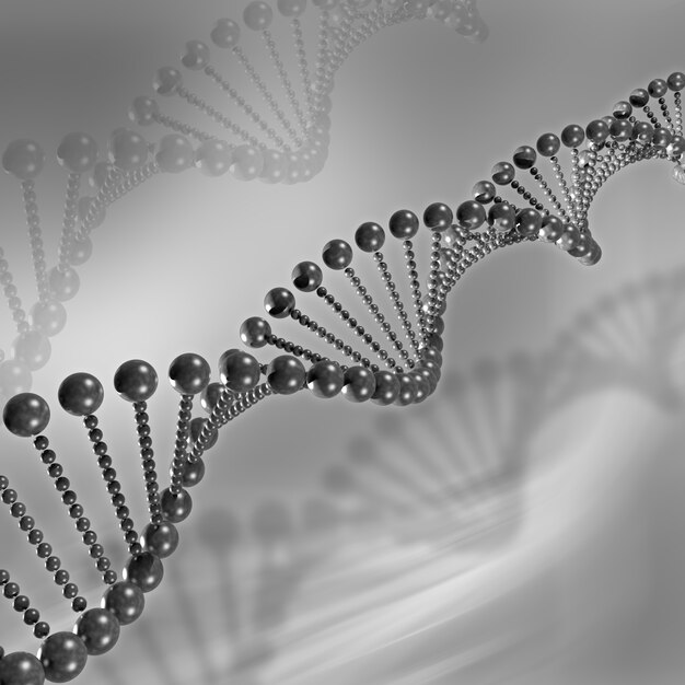 3D DNA Medical