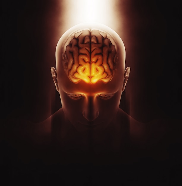 3d render de una imagen médica de una figura masculina con cerebro destacado