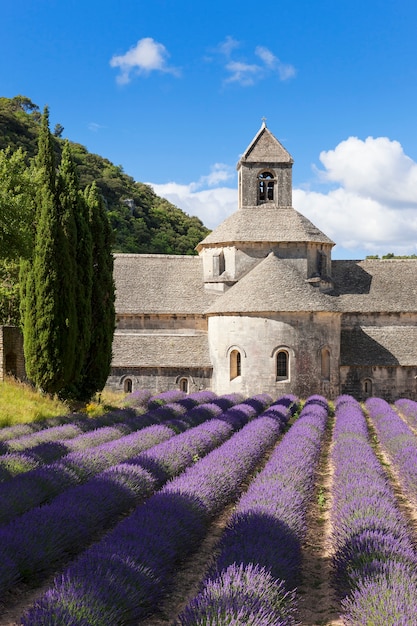 Foto gratuita abadía de senanque y campo de lavanda. francia.