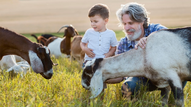 Abuelo y niño con cabras en el campo