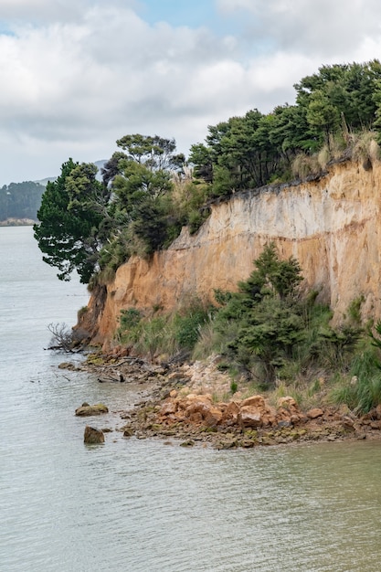 Acantilado de arenisca con árboles en Kaipara