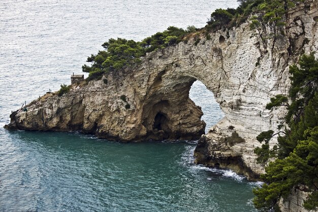 Acantilado cubierto de vegetación rodeado por el mar bajo la luz del sol durante el día